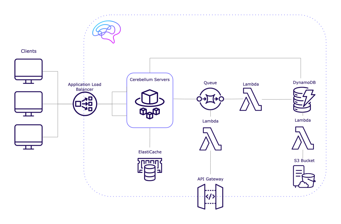 Cerebellum architecture diagram